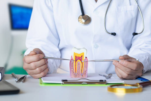 Best Emergency Root Canal Treatment in Clear Lake, SD